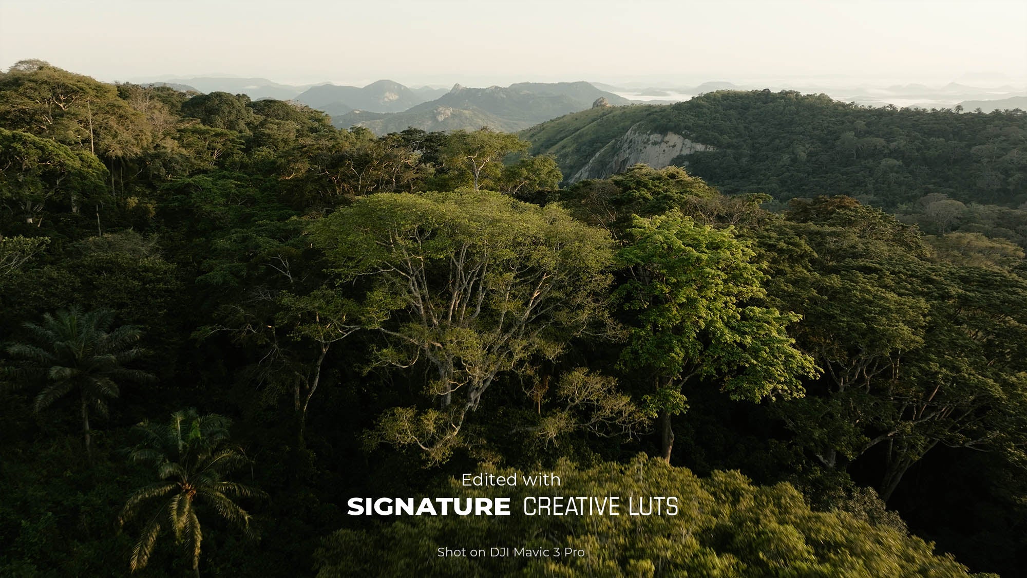 ToneLab Signature Creative LUTs