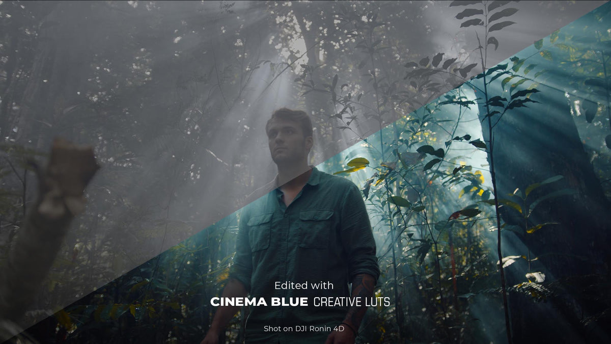 Cinema Blue (12 LUTs)
