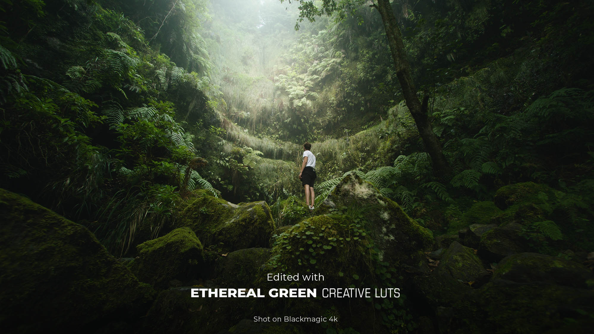 Ethereal Green Creative LUTs