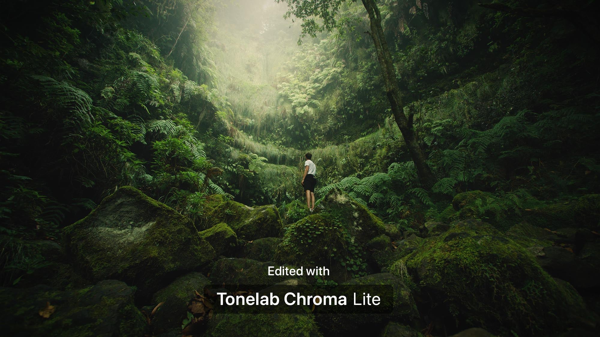 A person stands on moss-covered rocks in a dense green forest clearing, with misty light filtering from above. White text at the bottom reads 'Edited with Tonelab Chroma Lite'.