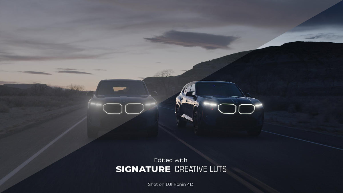 Signature Creative (11 LUTs)